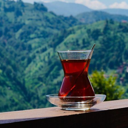Pathika Bungalov Çamlıhemşin 외부 사진