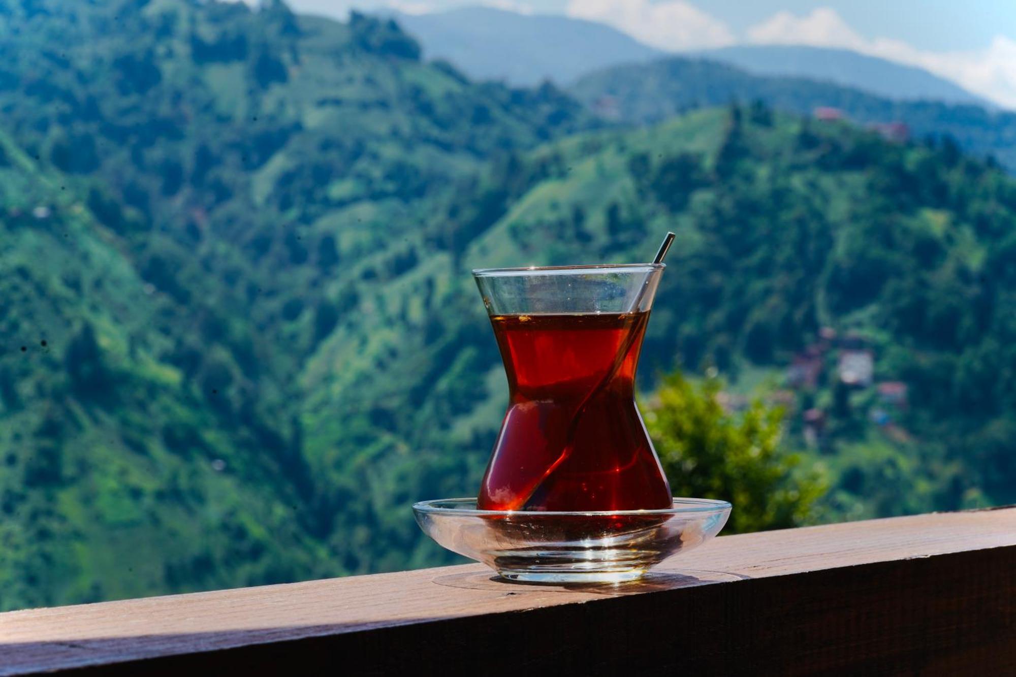 Pathika Bungalov Çamlıhemşin 외부 사진